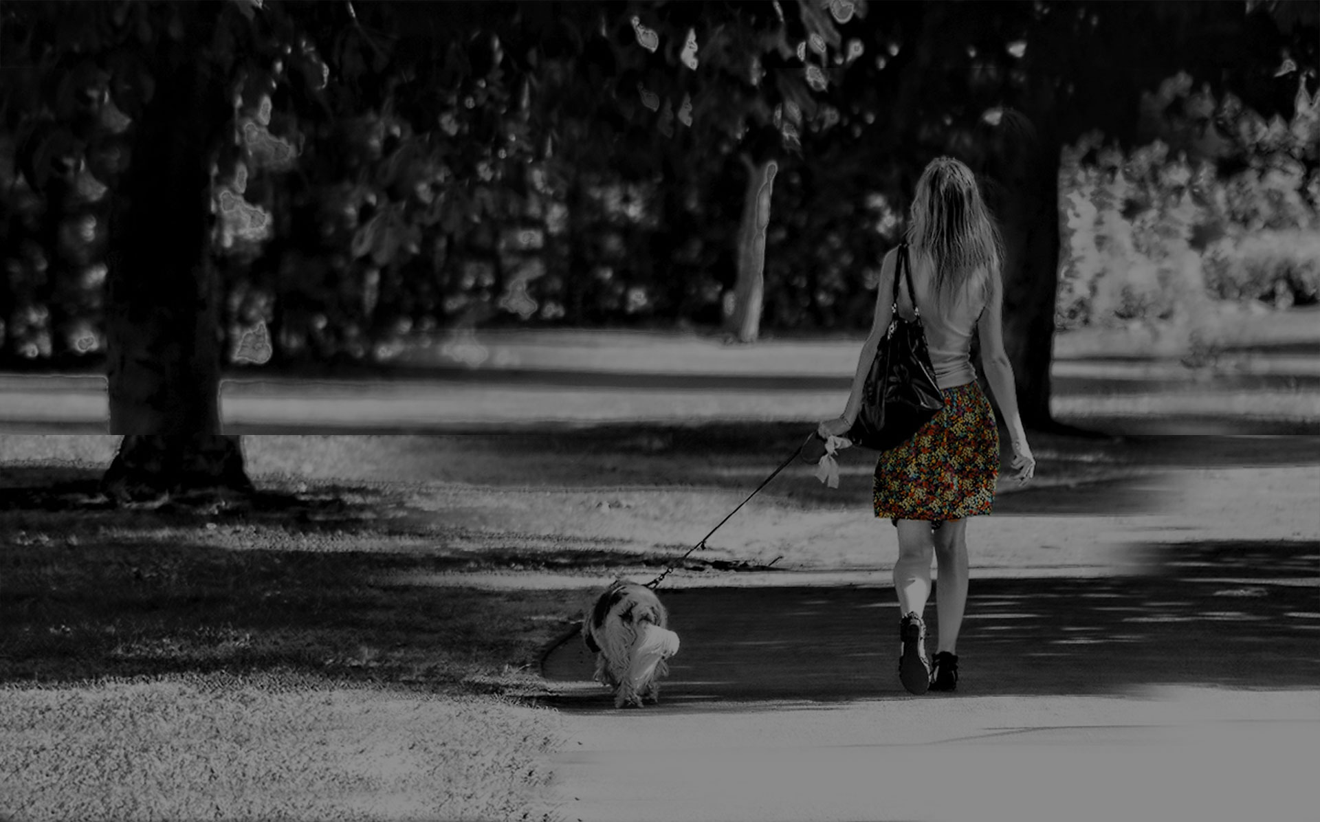 Girl with dog walking