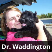 Dr. Waddington